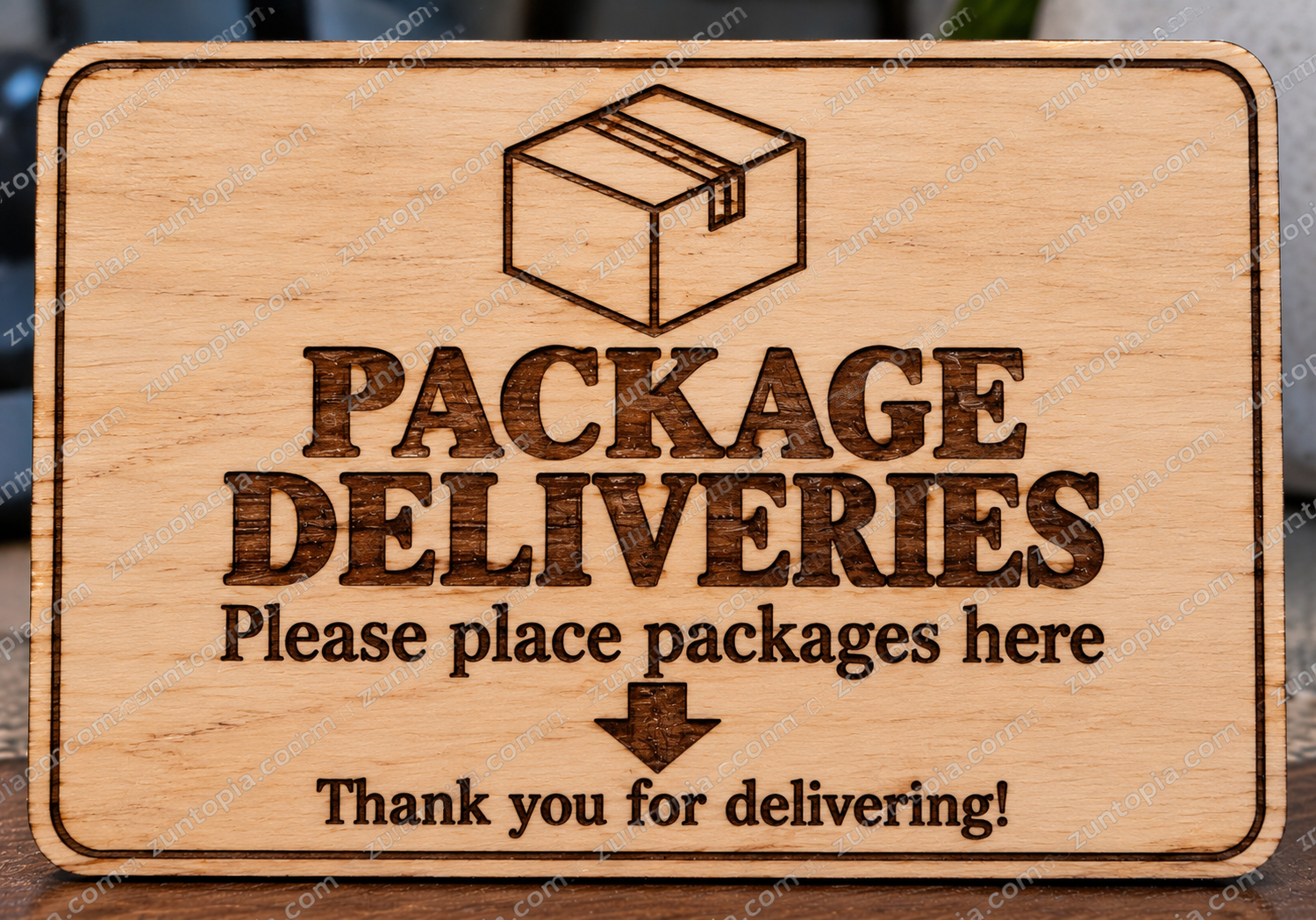 Laser Engraved Wooden Package Delivery Signs – Funny Porch Decor